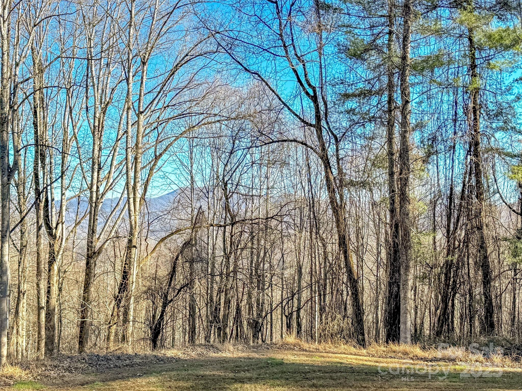 284 Cutting Edge Drive