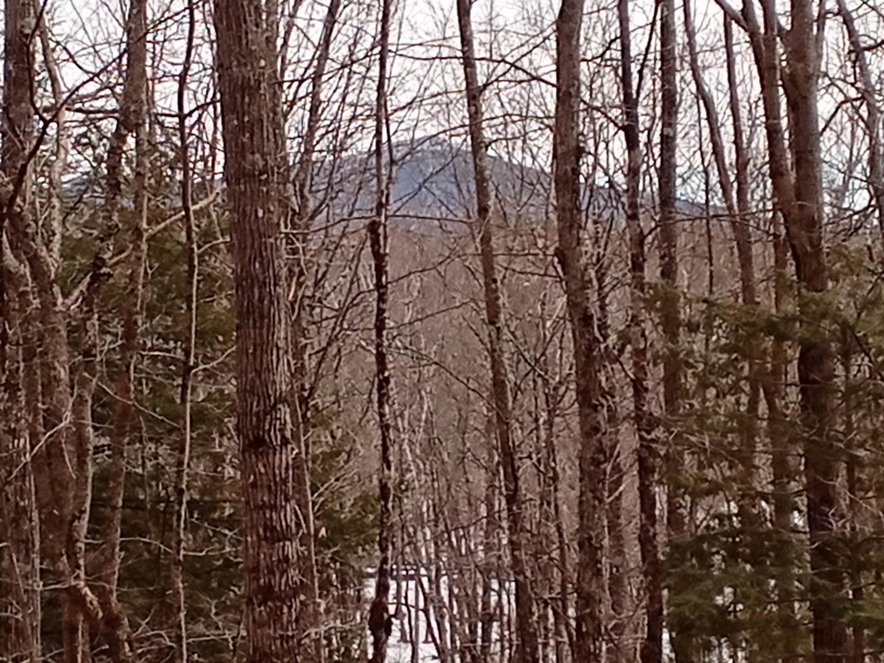 40 Clapp Pond Road