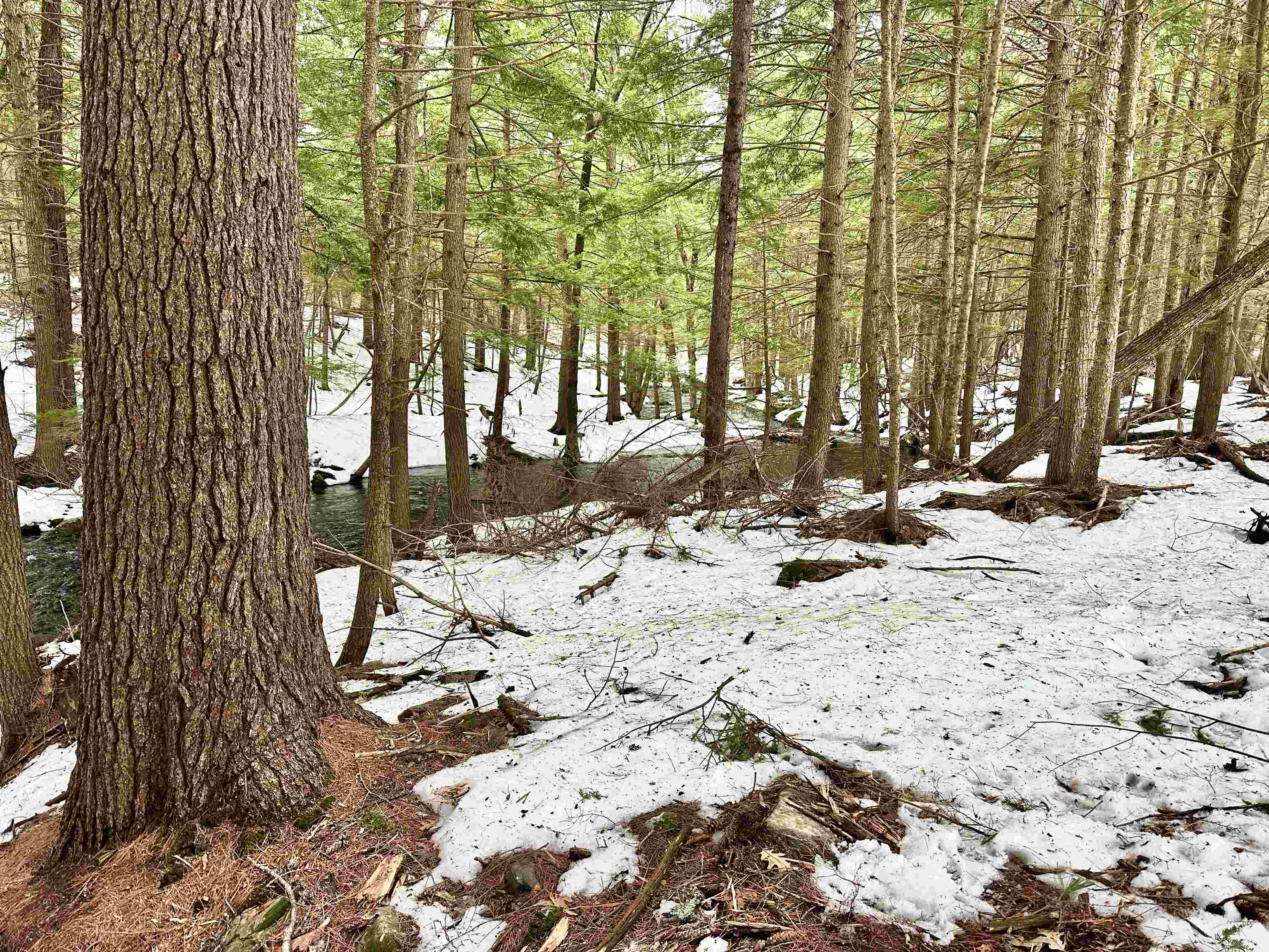 336 Old Jaffrey Road Unit: Lot R3-12-2