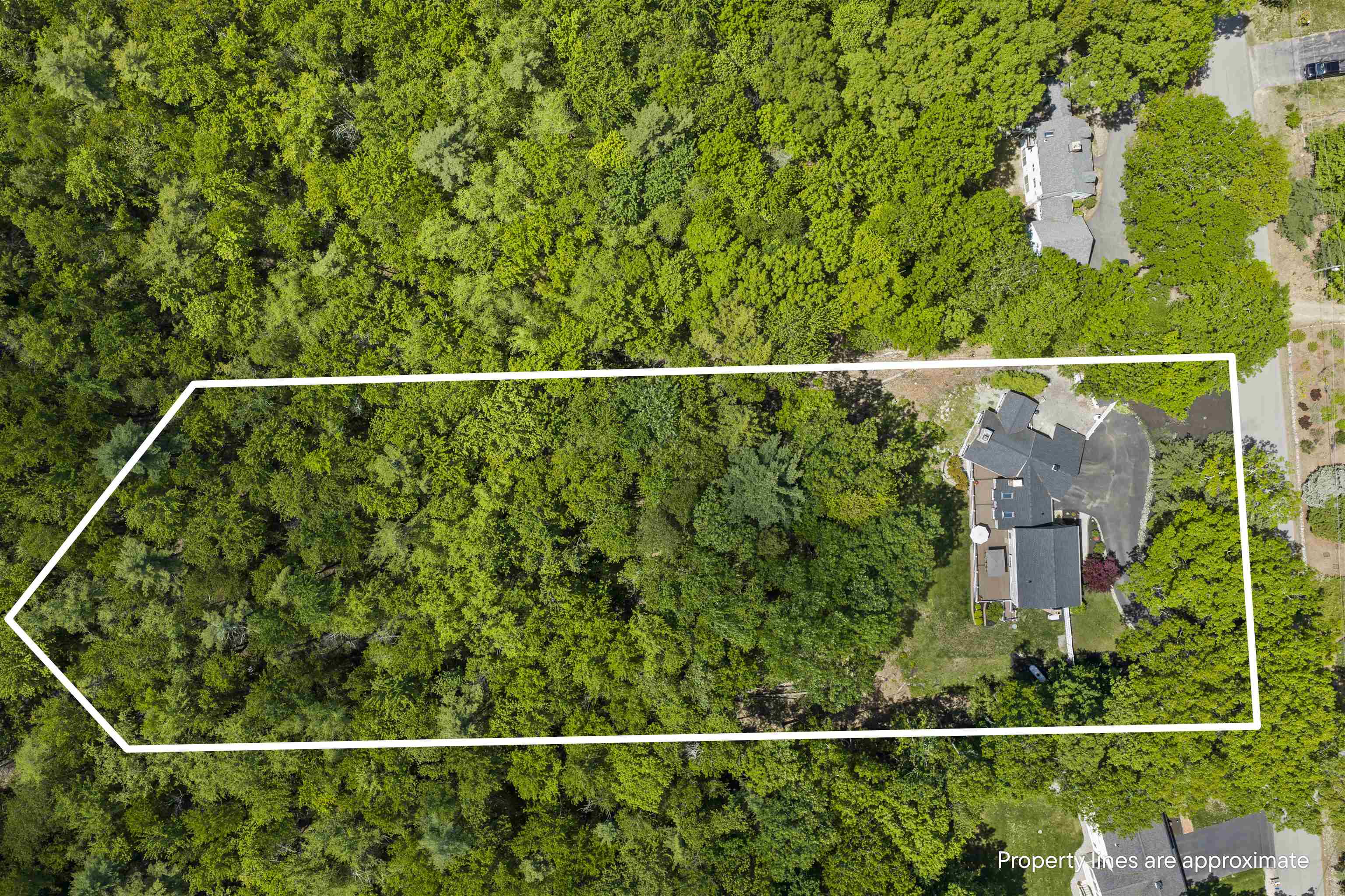 37 Birchwood Circle