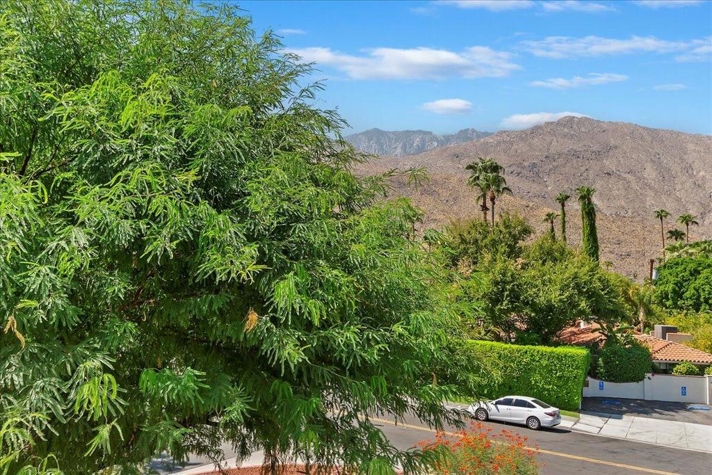 1510 S Camino Real 310a