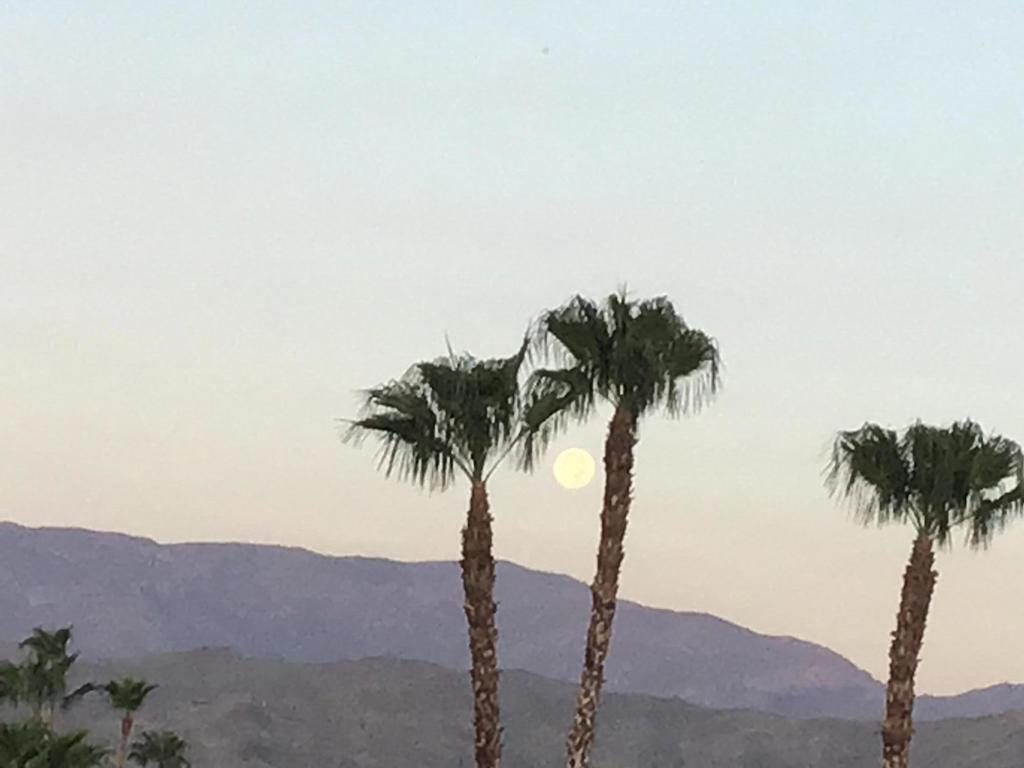 38680 Desert Greens Drive W