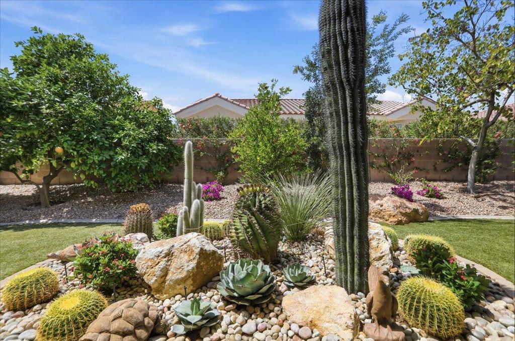37631 Festival Drive