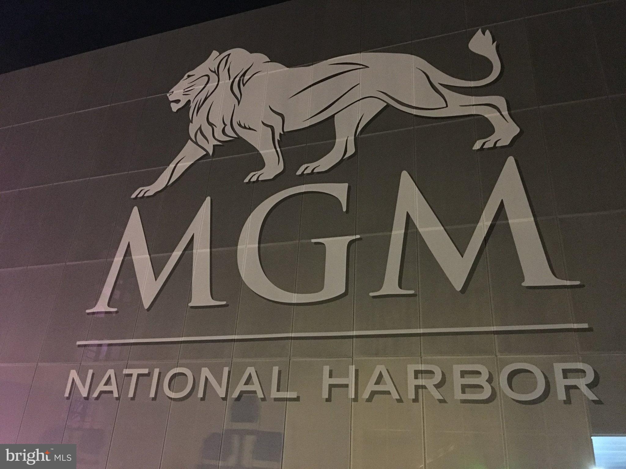 702 River Mist Dr #233