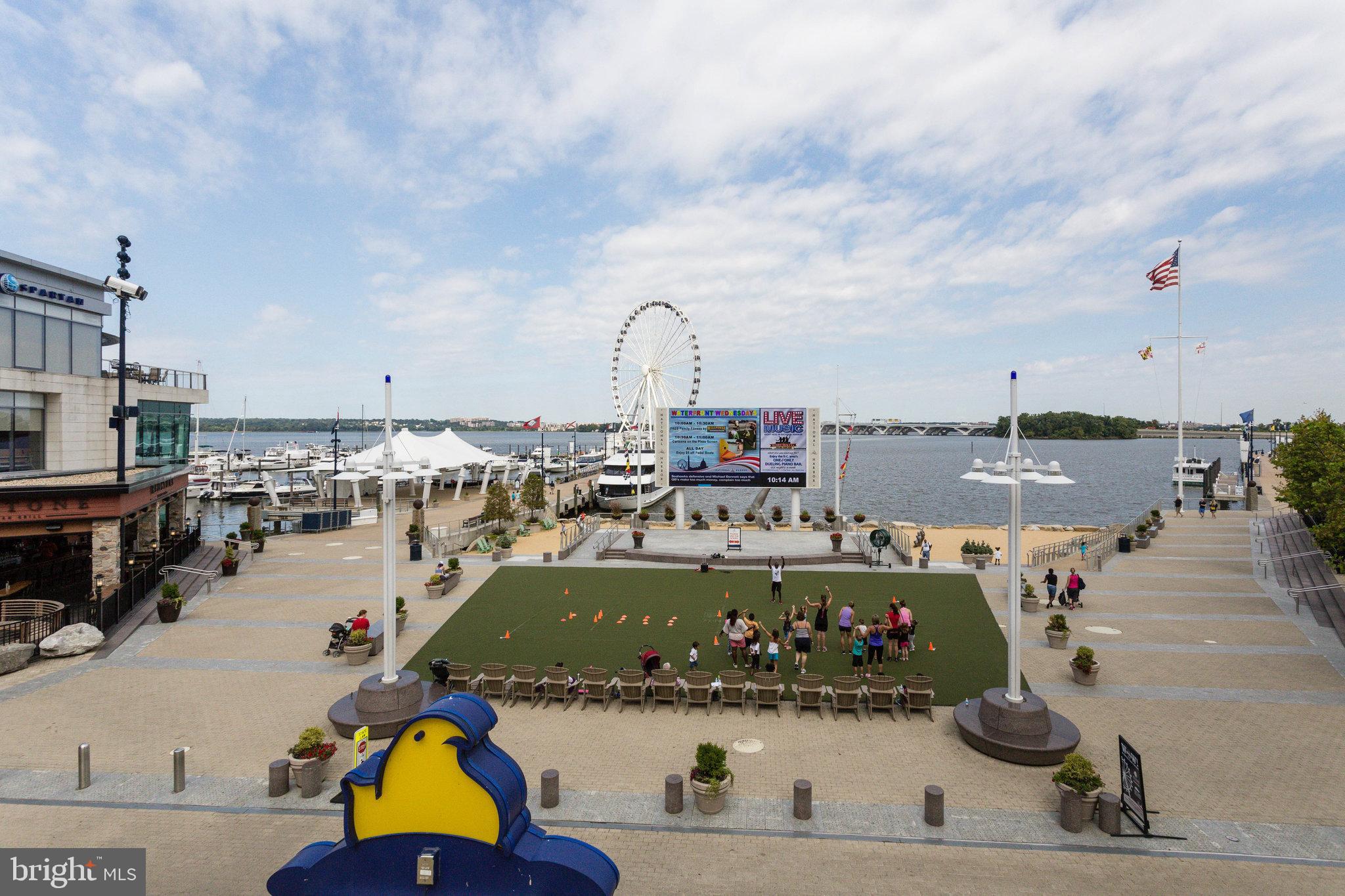 702 River Mist Dr #233