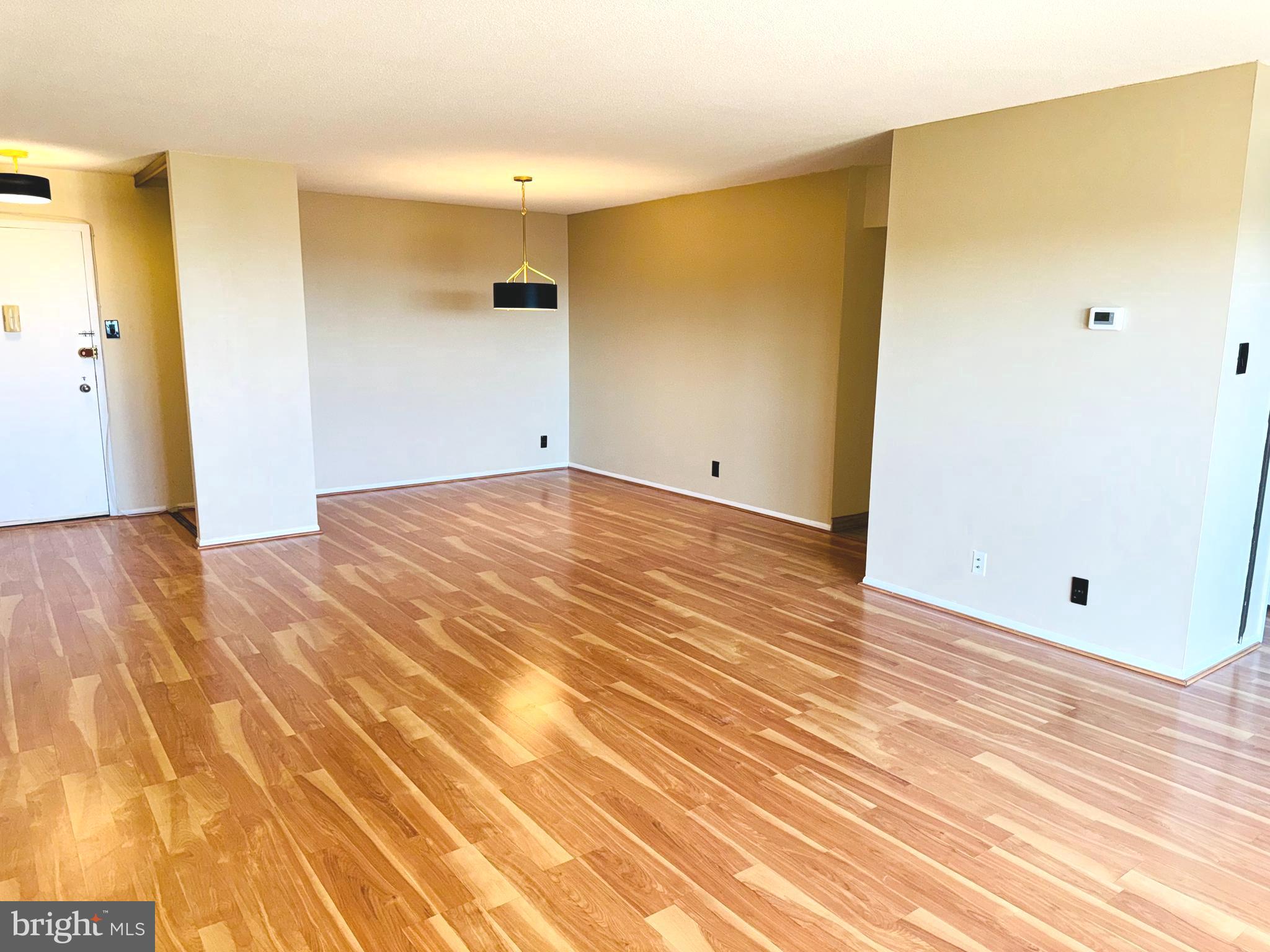 307 YOAKUM PKWY #1517