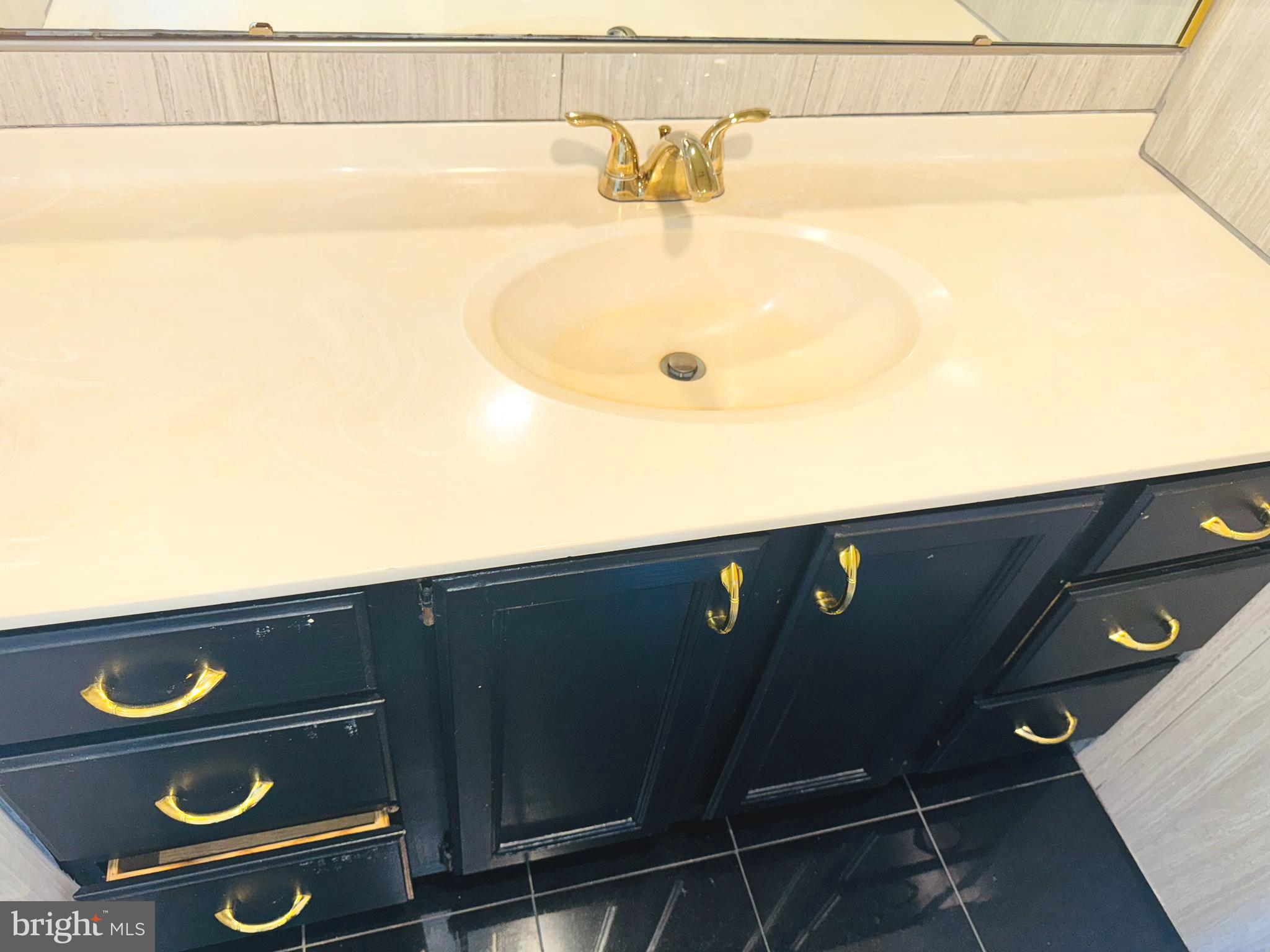 307 YOAKUM PKWY #1517