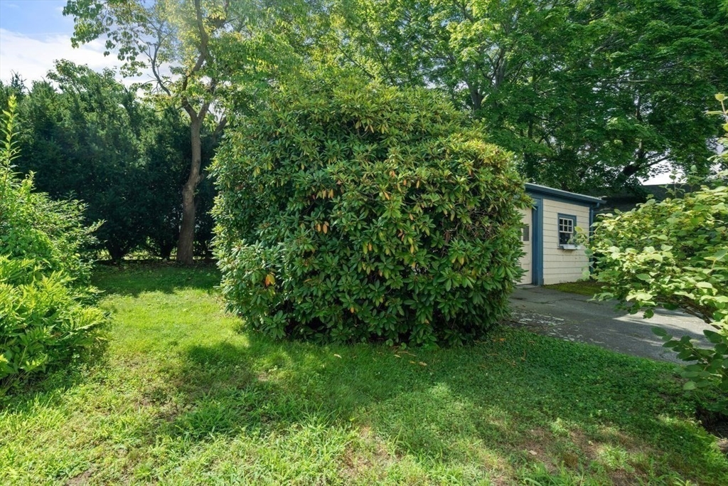 11 Hampden Street
