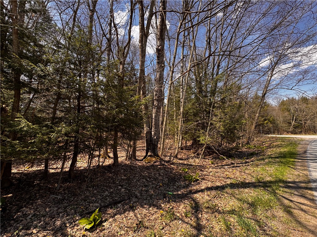 Lot 4 Lake Rd & Danner Dr