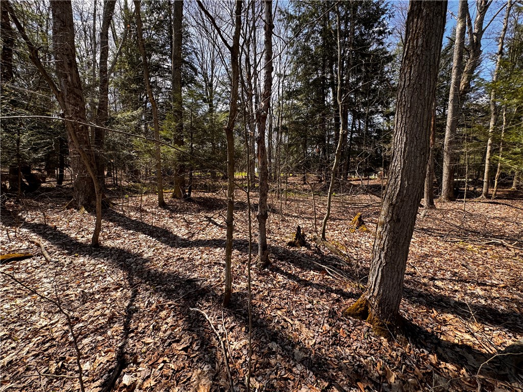 Lot 4 Lake Rd & Danner Dr