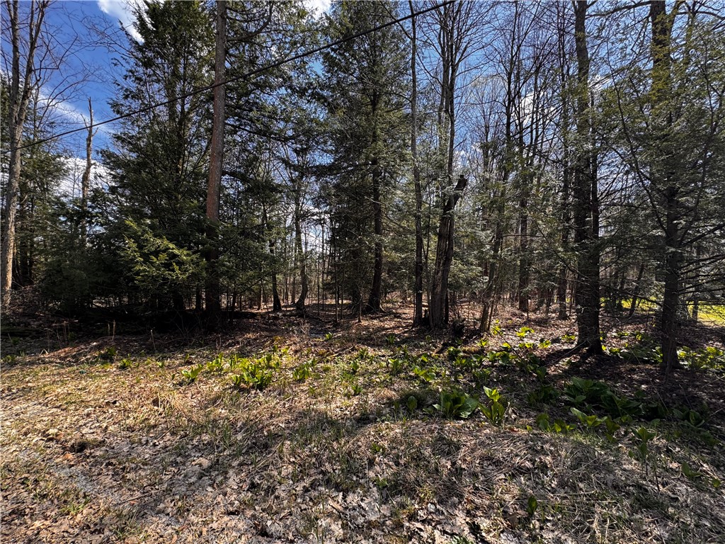 Lot 4 Lake Rd & Danner Dr