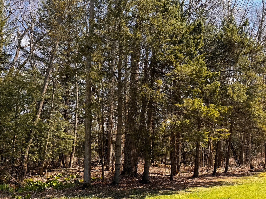 Lot 4 Lake Rd & Danner Dr