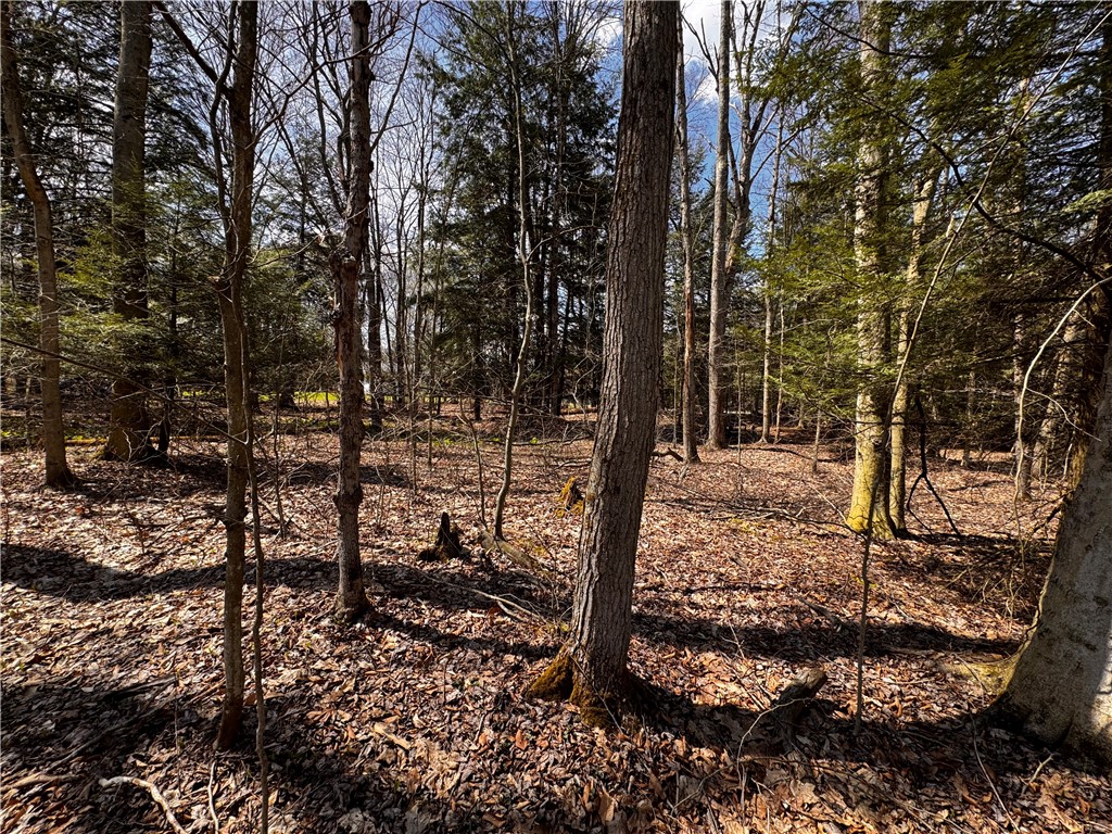 Lot 4 Lake Rd & Danner Dr