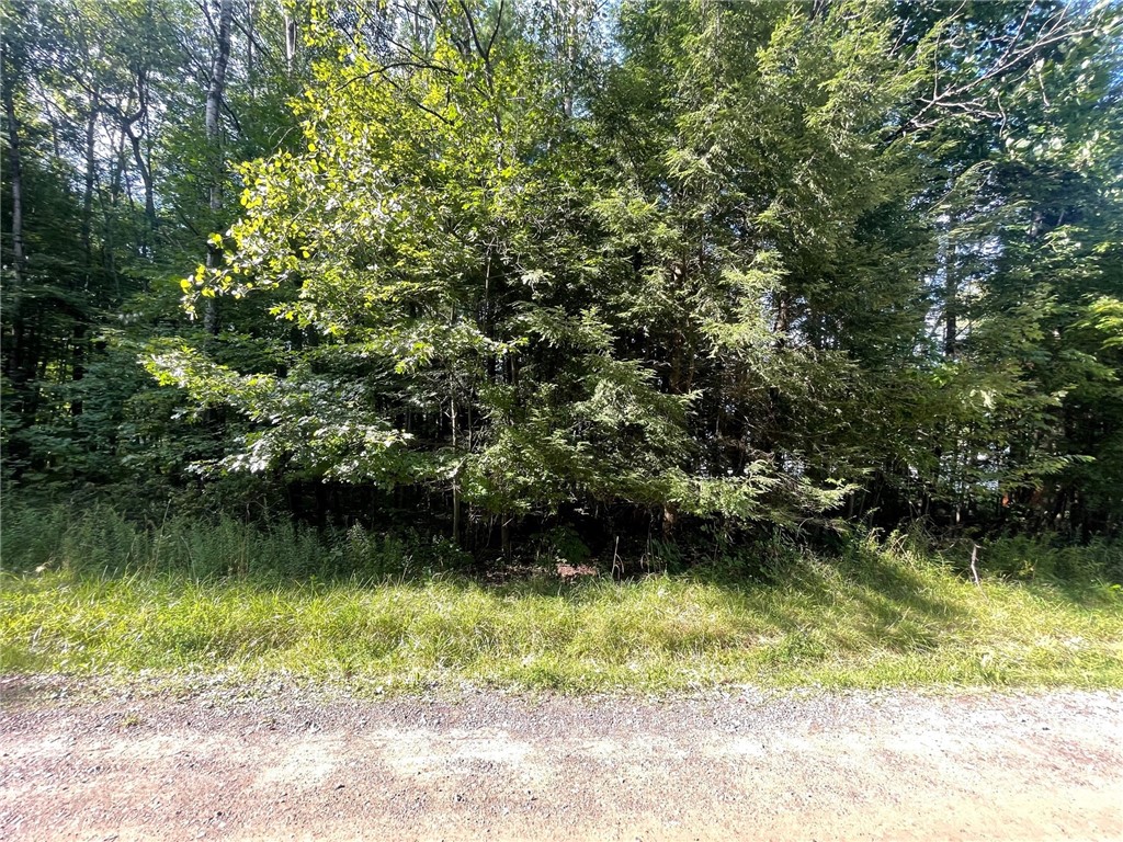 Lot 31 Cindy Ln