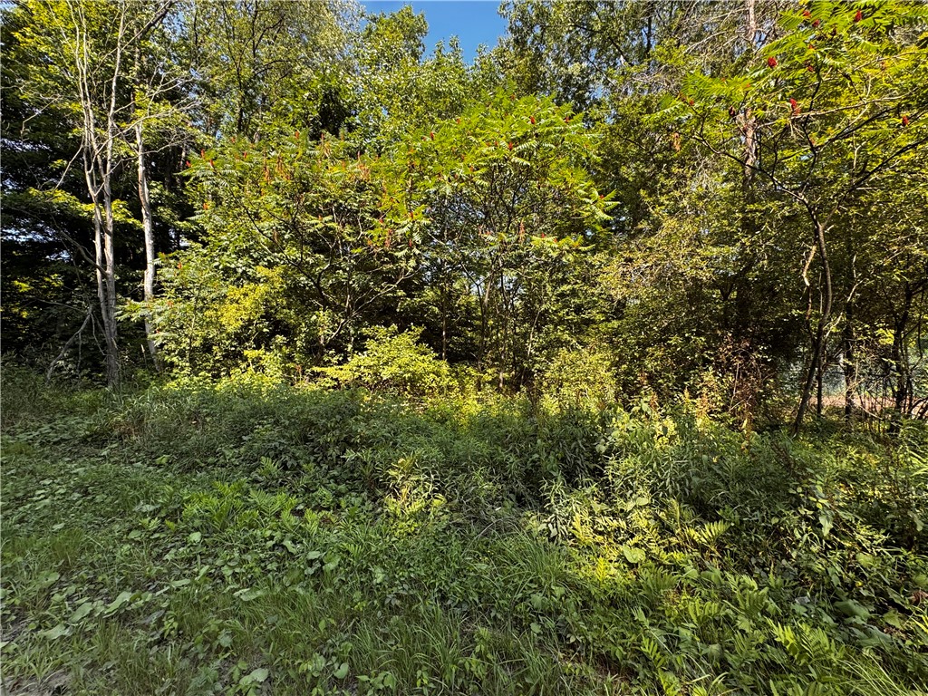 Lot 614 637 638 Weed Rd