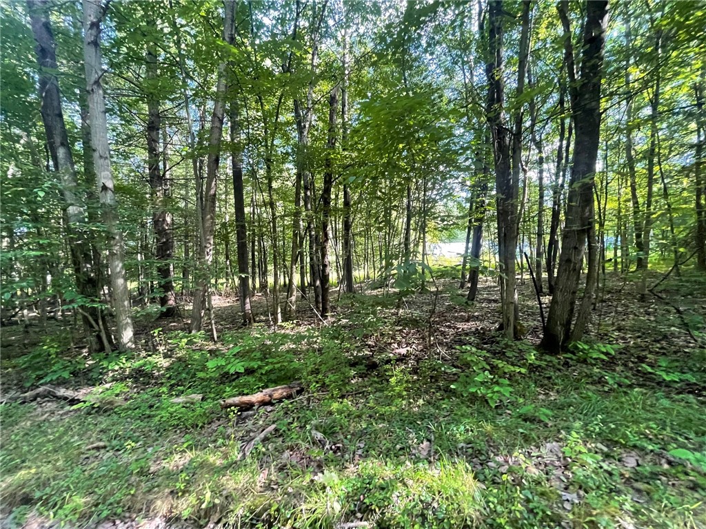 LOT 3 Danner Dr & Lot 14 Linda Lane