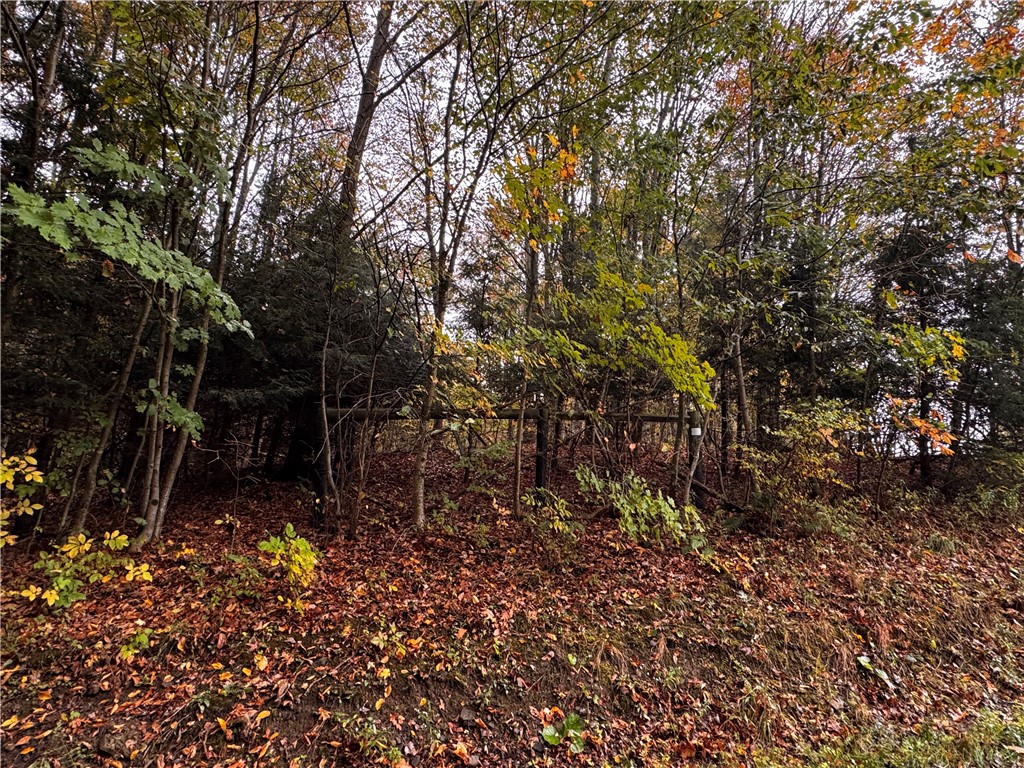 Lot 1 Dobbs Rd
