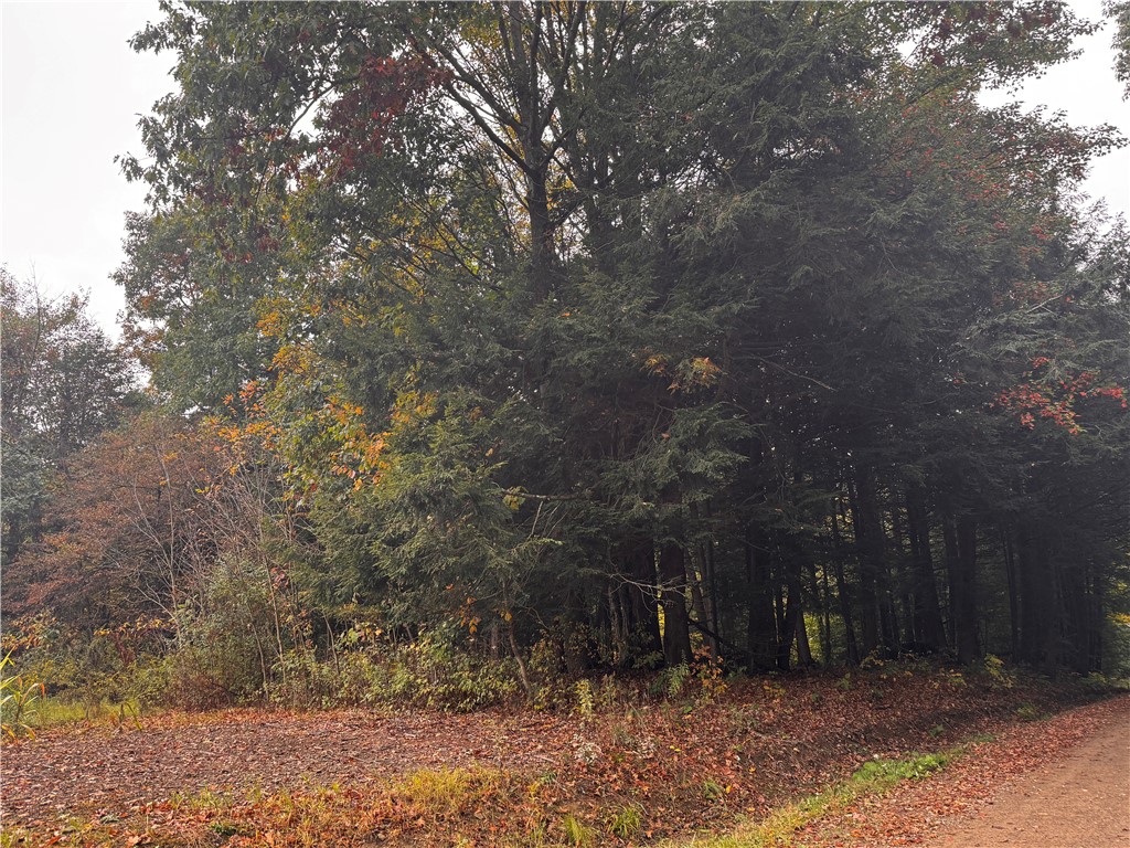 Lot 1 Dobbs Rd