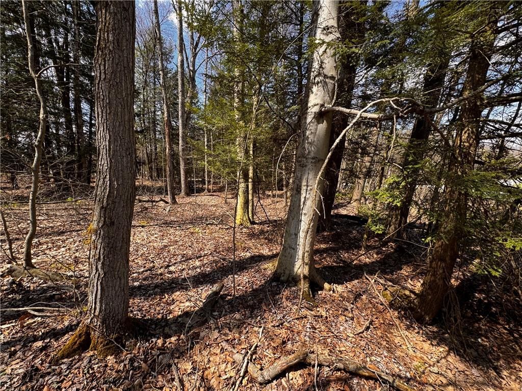 Lot 4 Lake Rd & Danner DRIVE