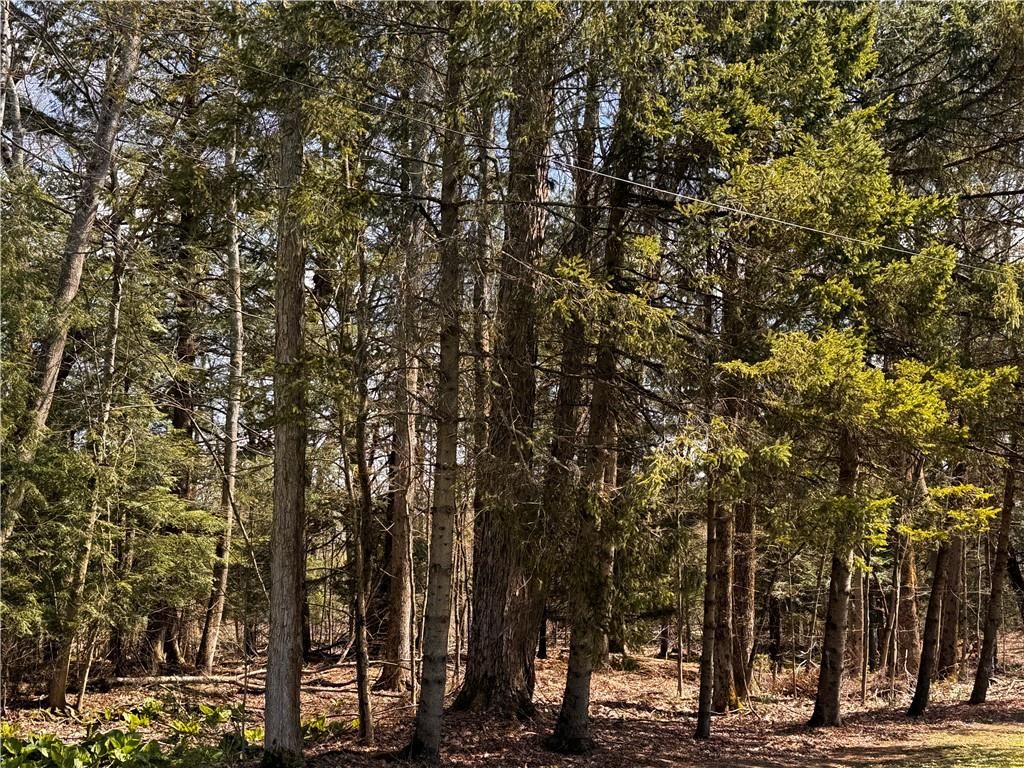 Lot 4 Lake Rd & Danner DRIVE