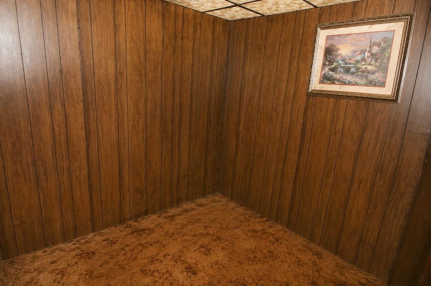 36024 Maple DRIVE