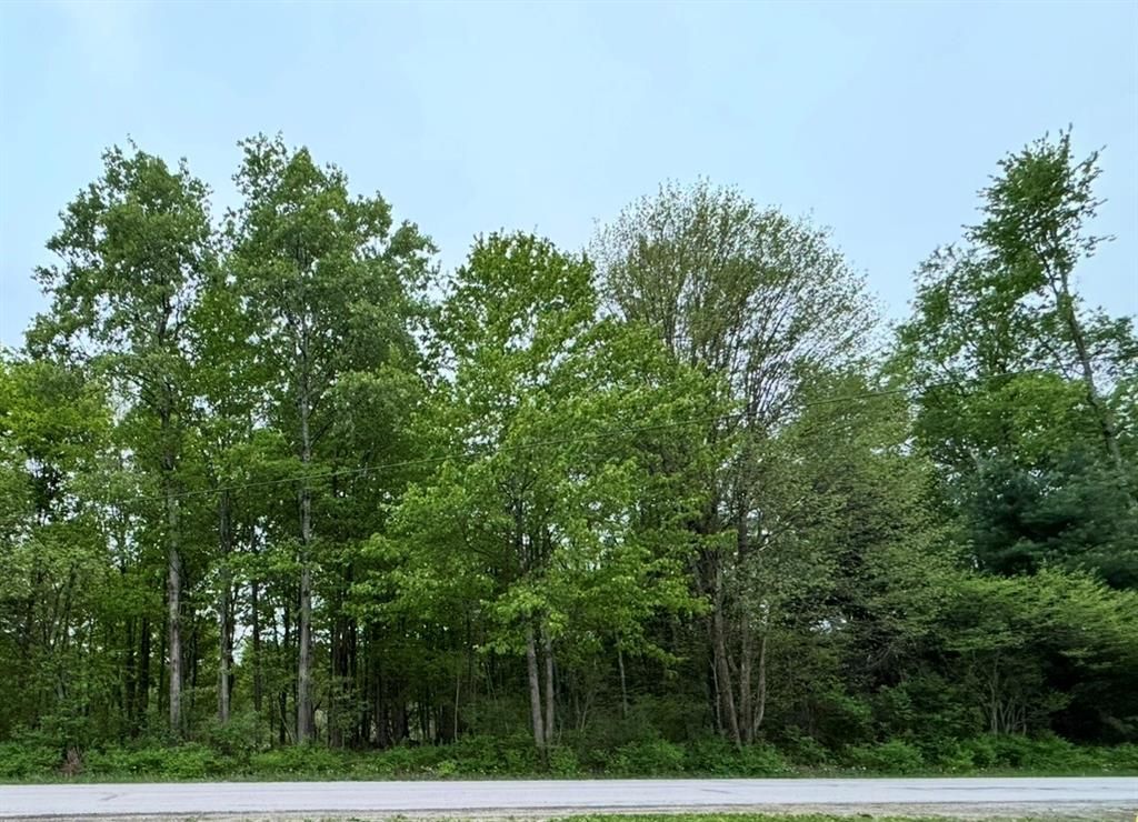 Lot 9-15 & 62-72 Elmwood Ave