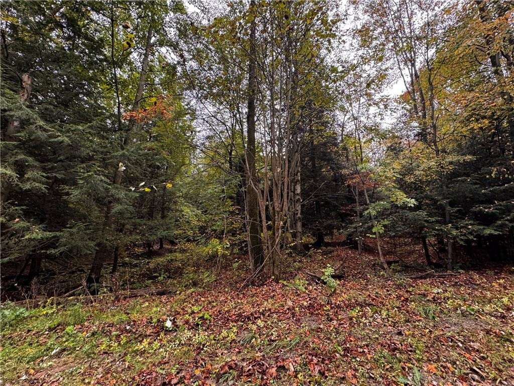 Lot 1 Dobbs Rd