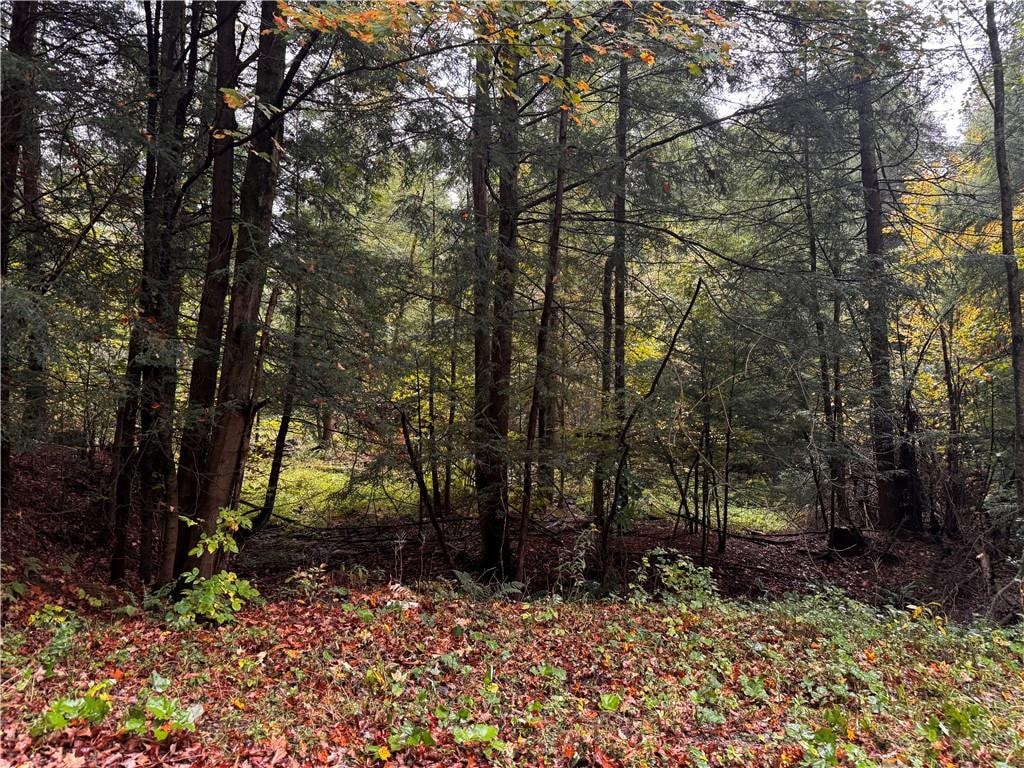 Lot 1 Dobbs Rd