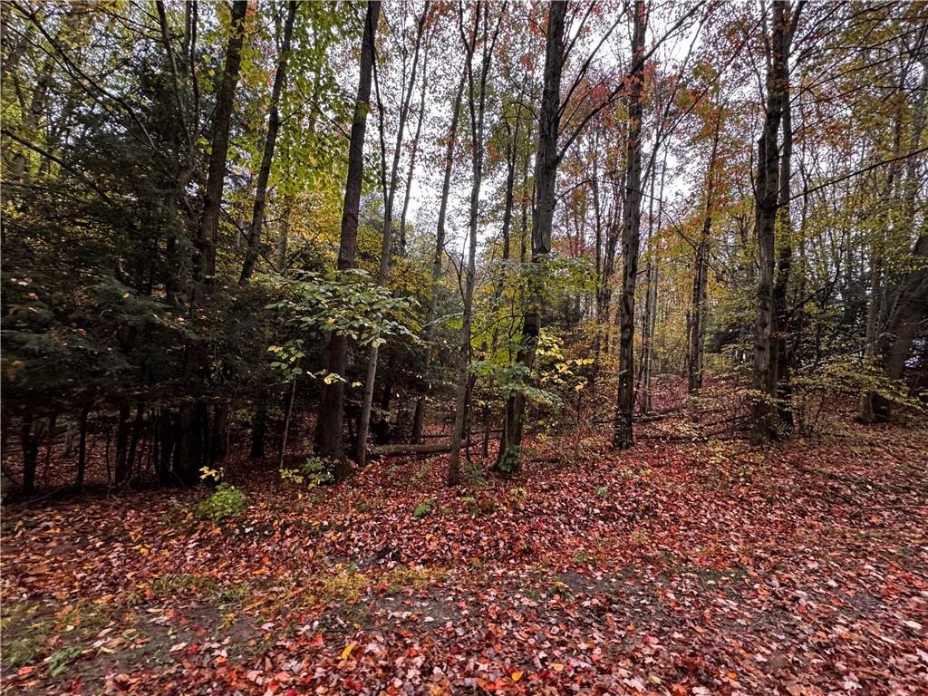 Lot 1 Dobbs Rd