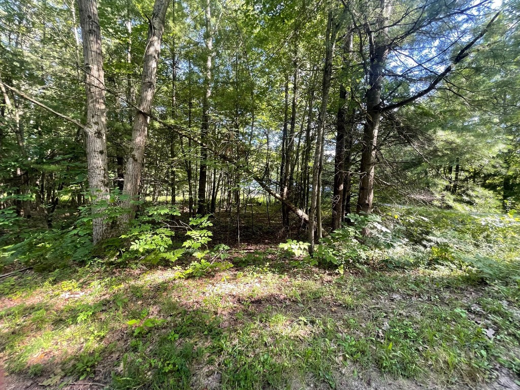 LOT 27, 28, 21 CINDY Lane