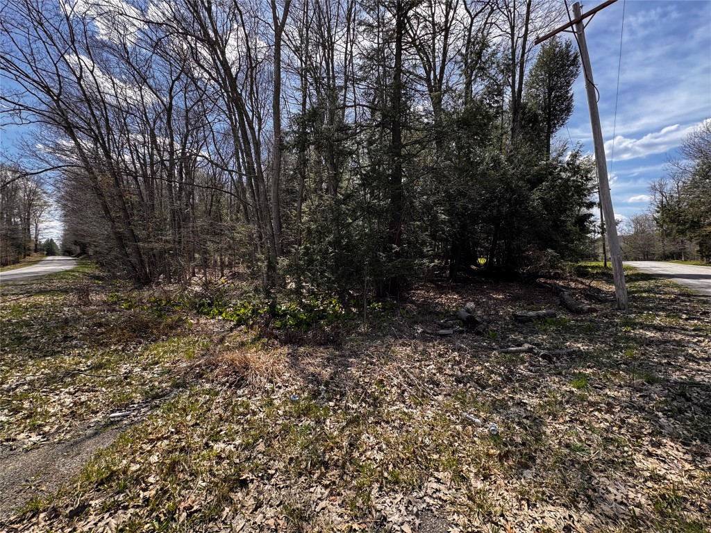 Lot 4 LAKE & DANNER Road