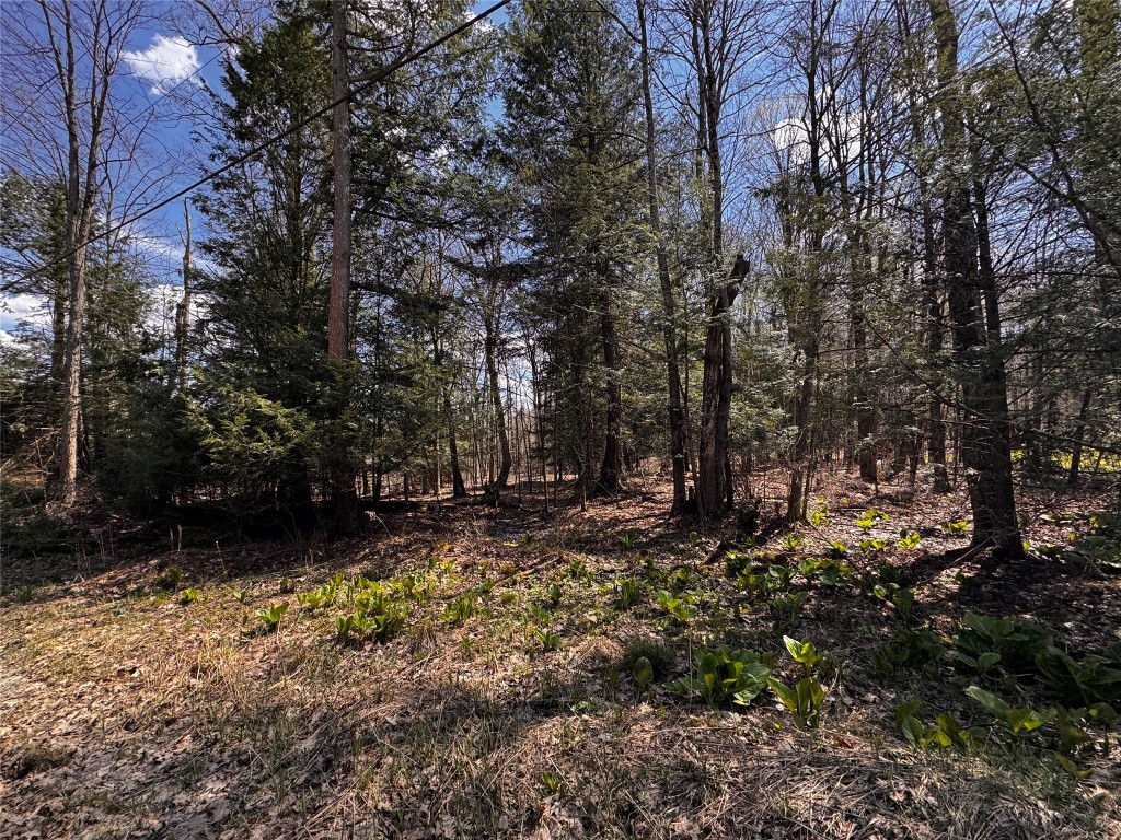 Lot 4 LAKE & DANNER Road