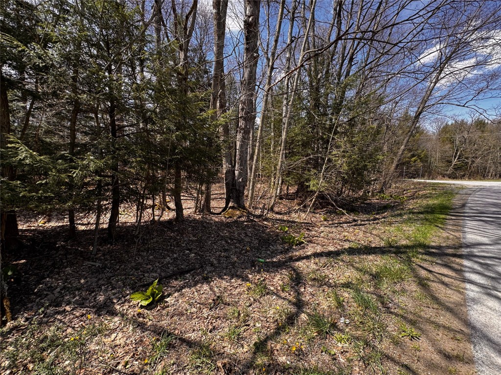 Lot 4 LAKE & DANNER Road