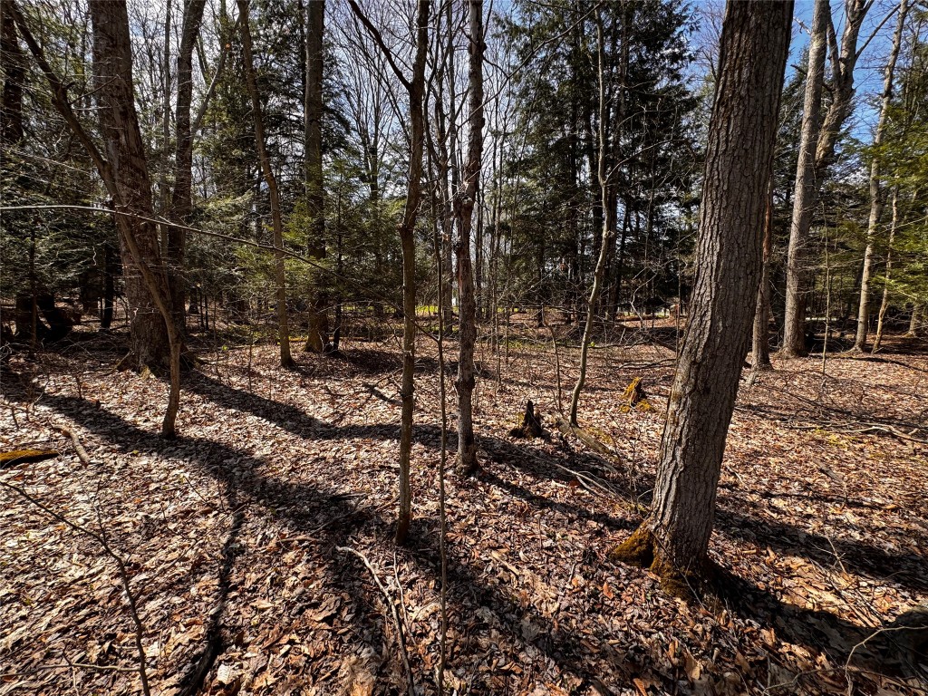 Lot 4 LAKE & DANNER Road