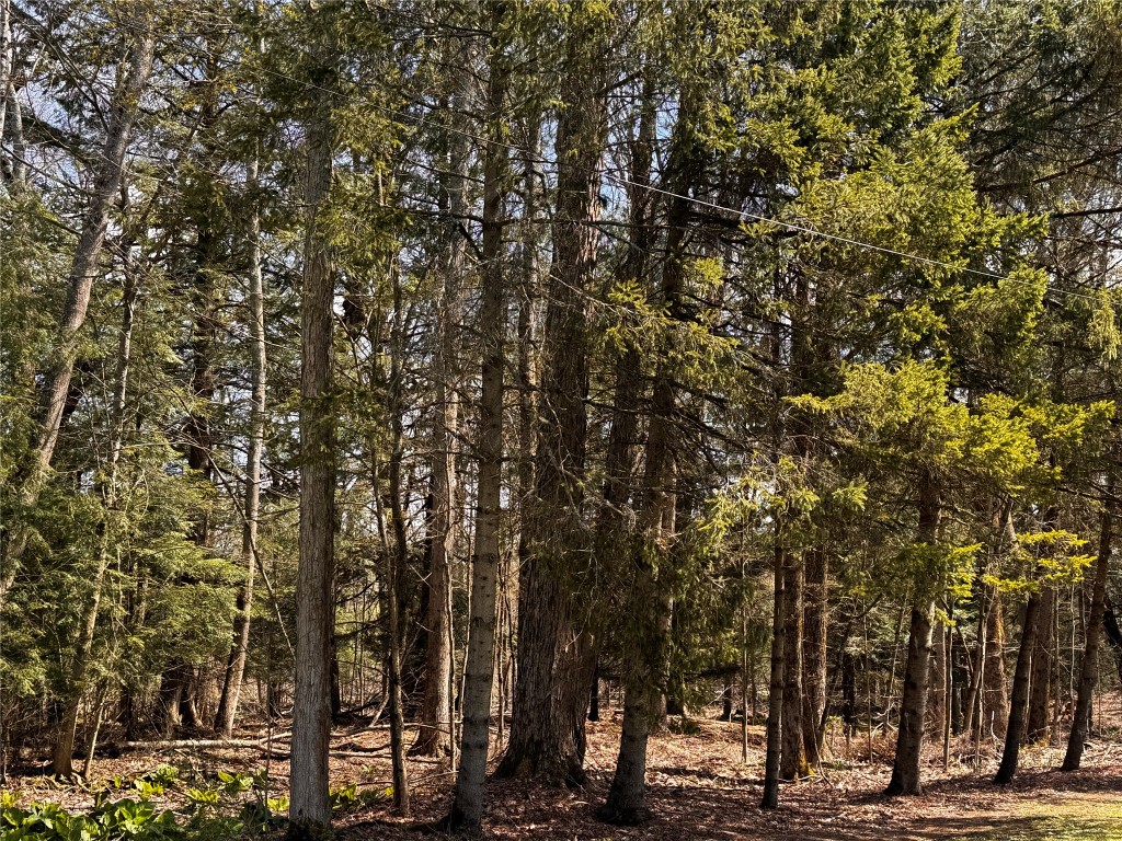 Lot 4 LAKE & DANNER Road