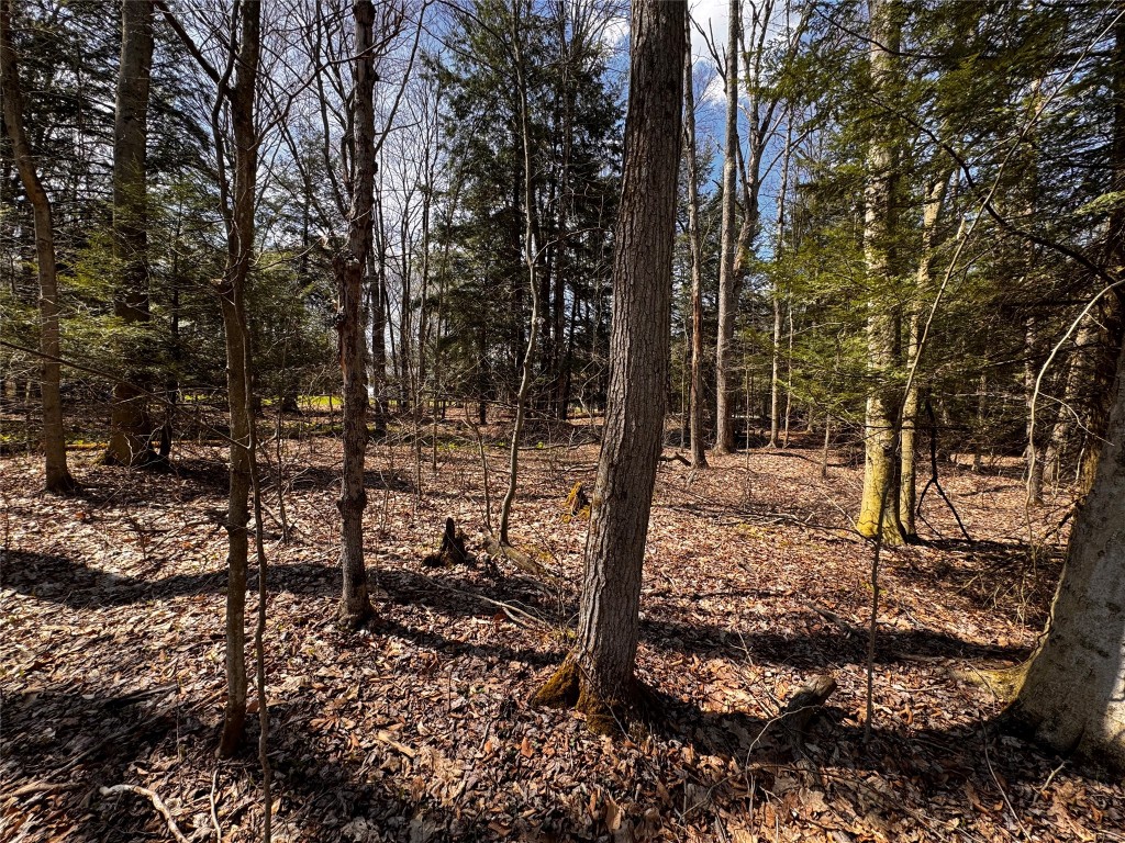 Lot 4 LAKE & DANNER Road