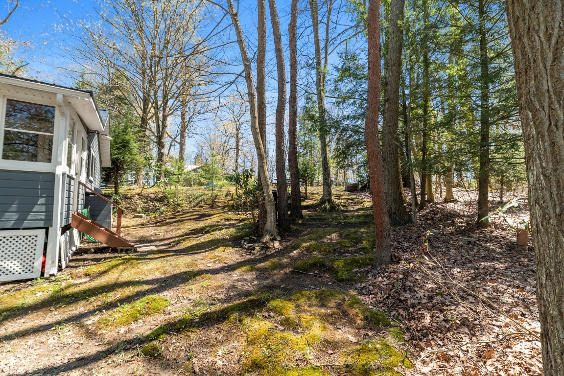 36053 IDLEWILDE Street