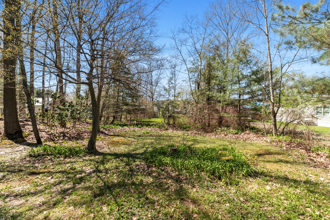 36053 IDLEWILDE Street