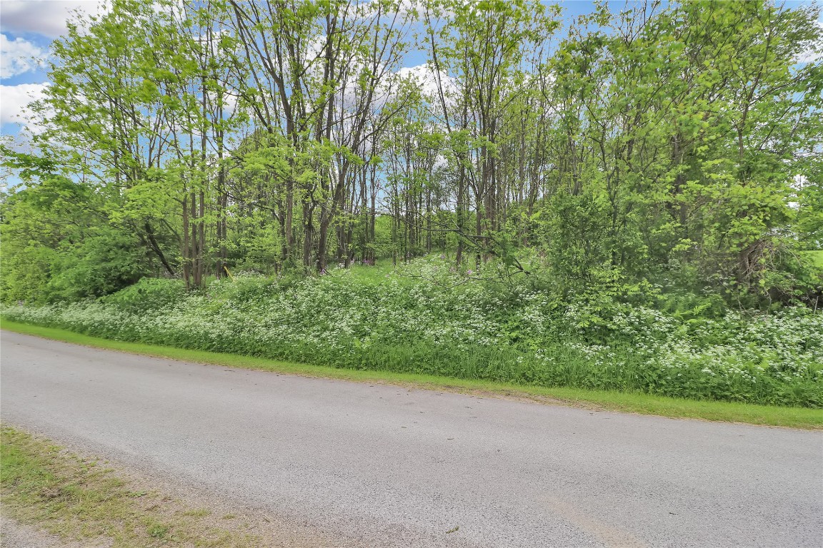 22080 MERGANSER Lane