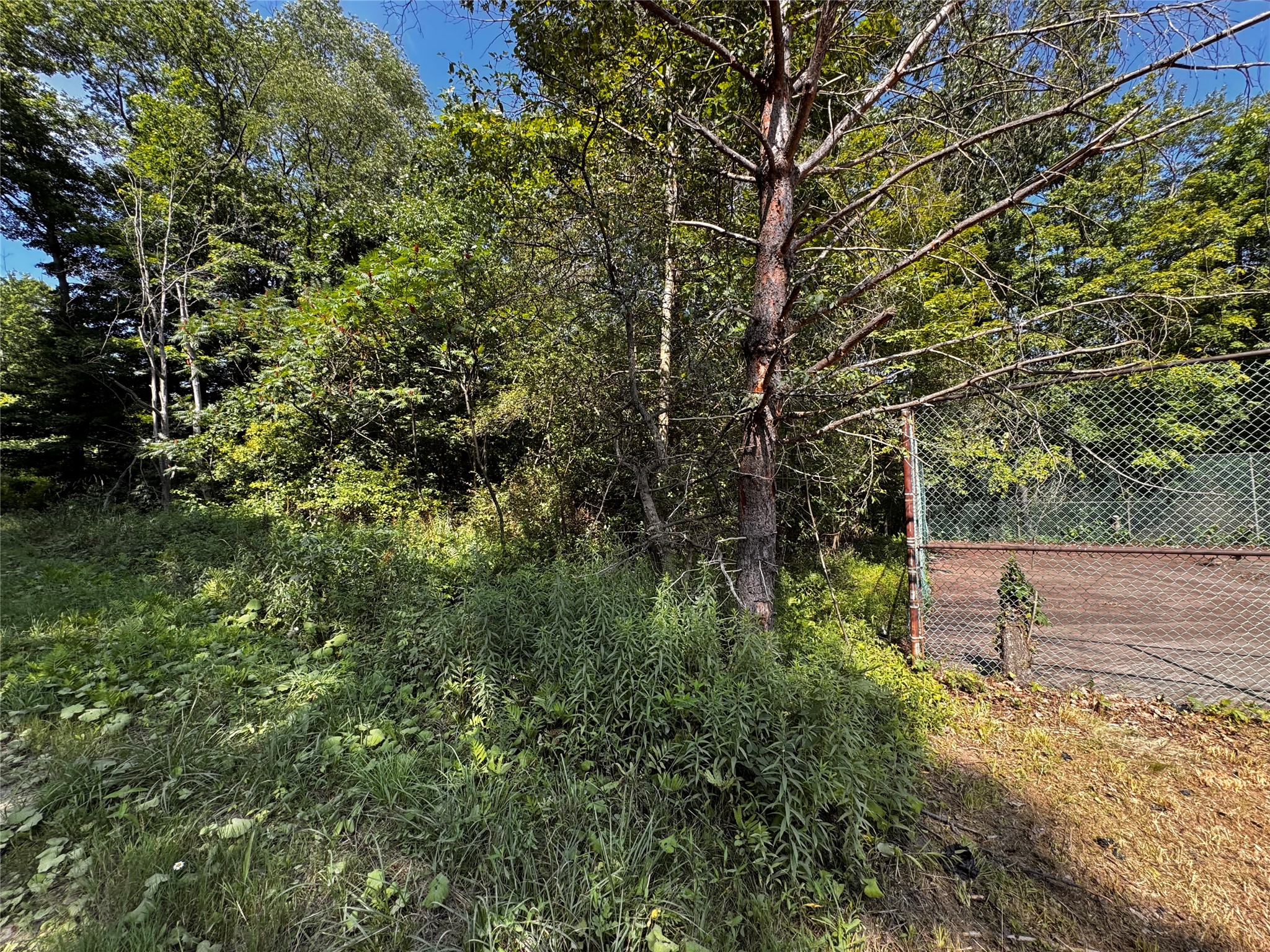 Lot 614, 637, & 638 WEED Road