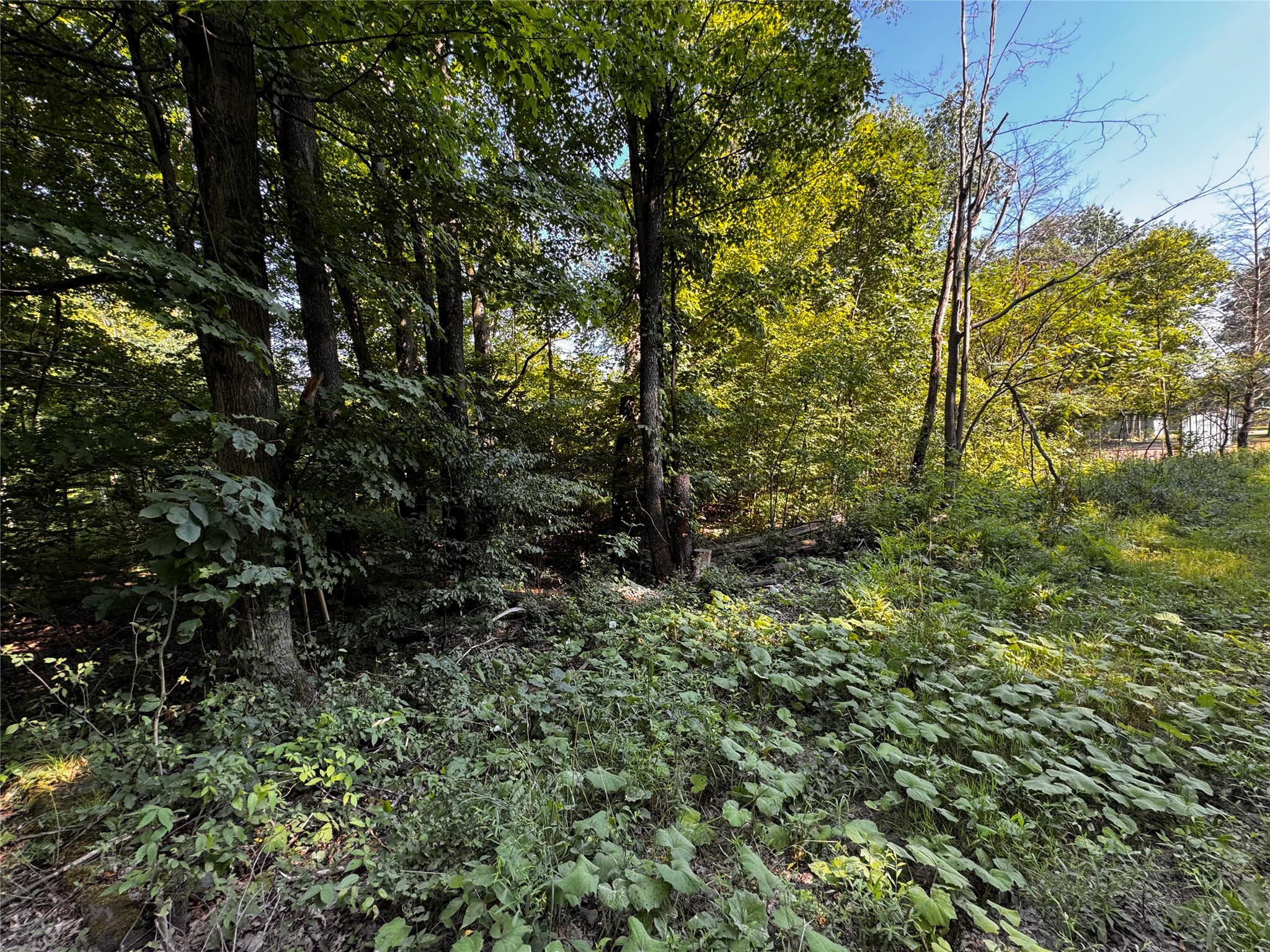 Lot 614, 637, & 638 WEED Road