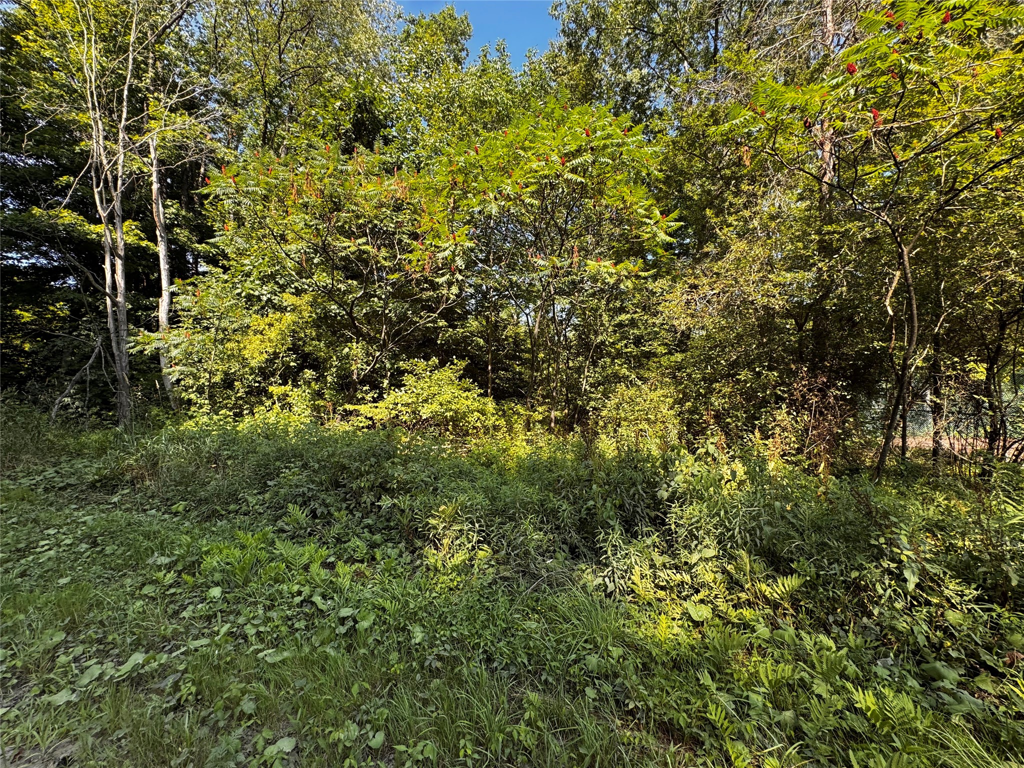 Lot 614, 637, & 638 WEED Road
