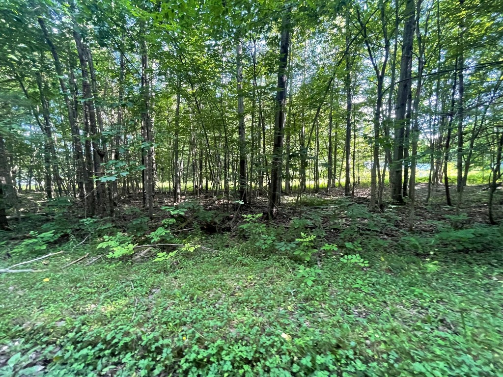 LOT 4 DANNER DR & 15 LINDA Lane