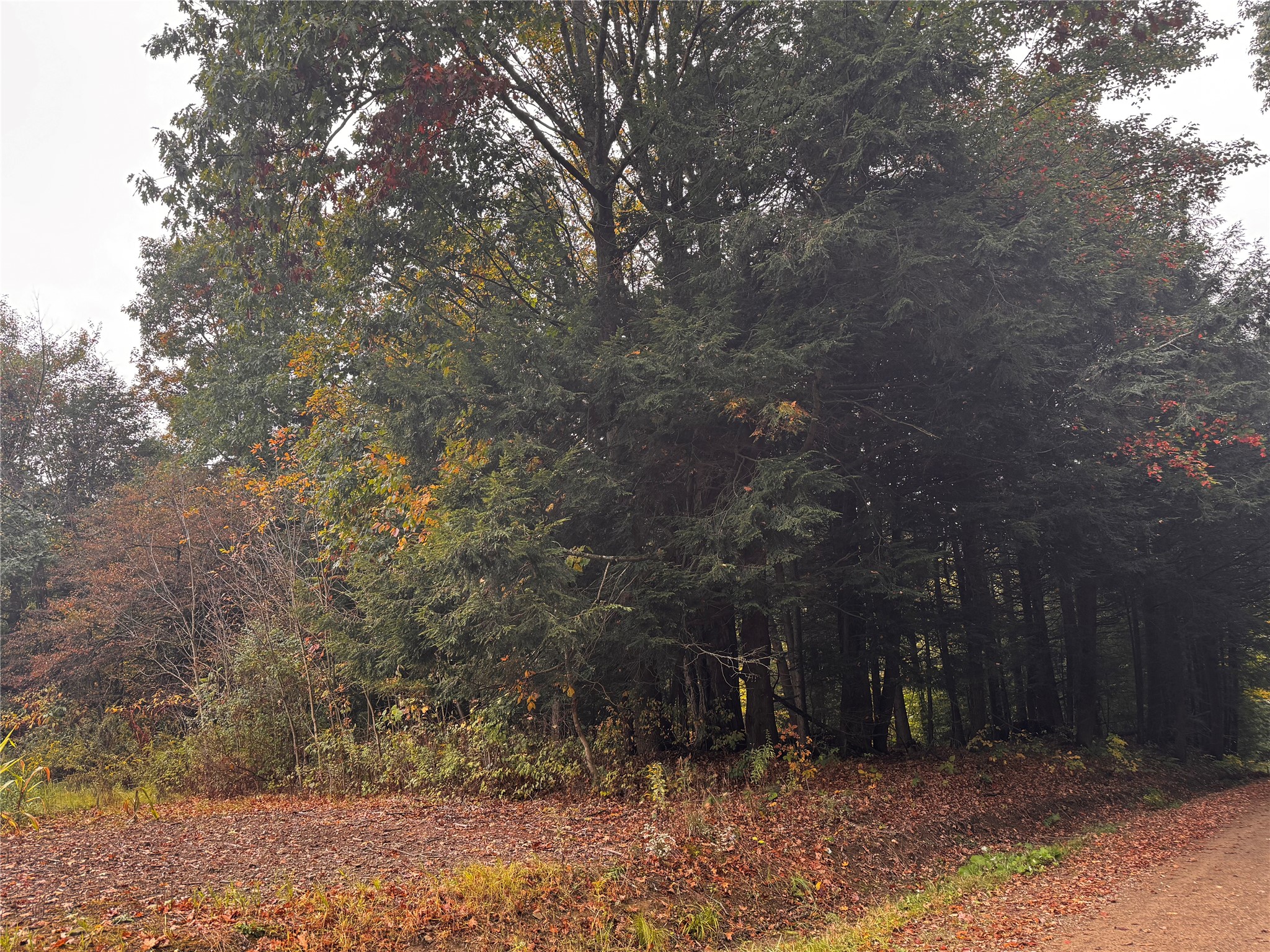 Lot 1 DOBBS Road
