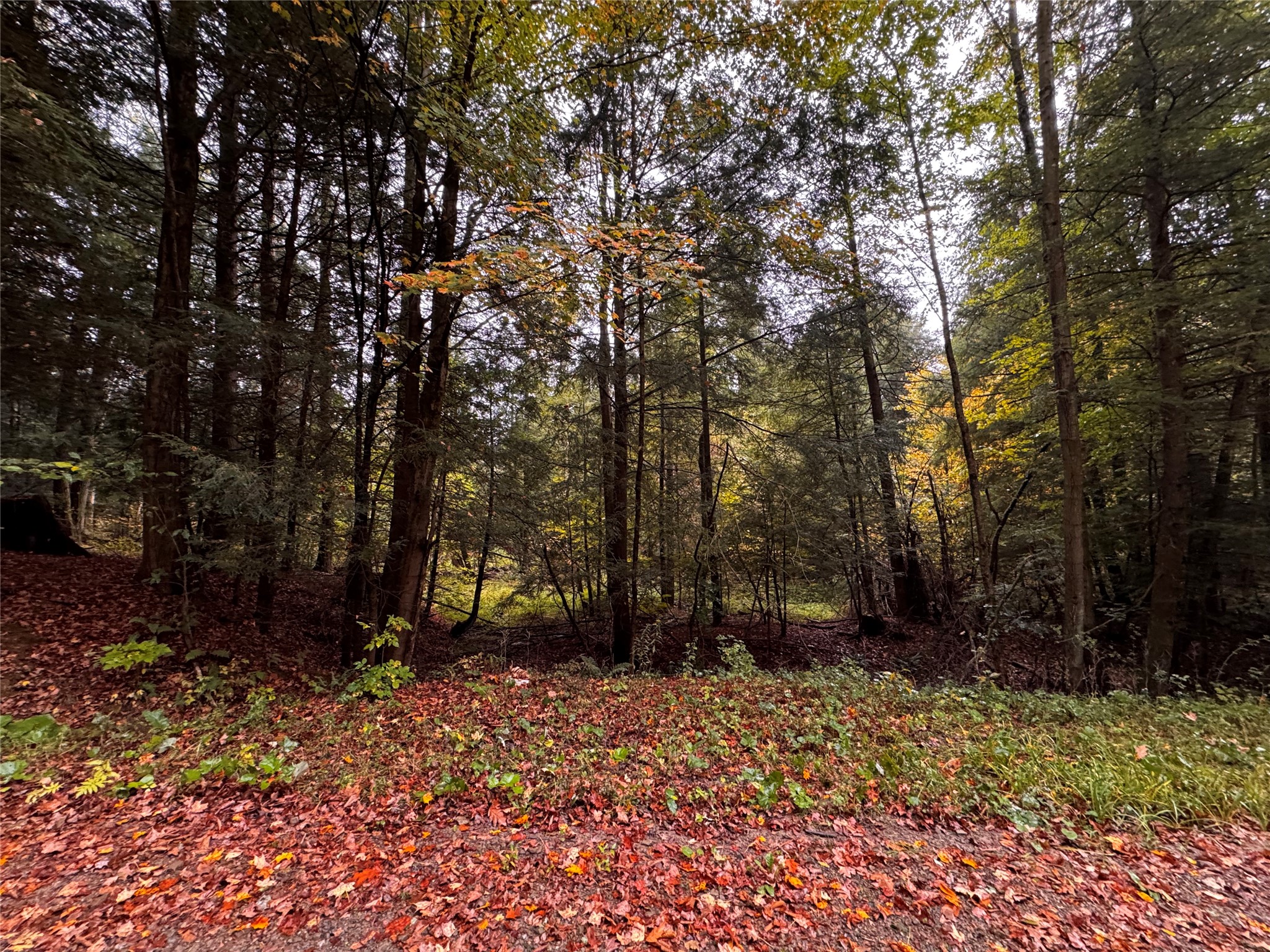 Lot 1 DOBBS Road