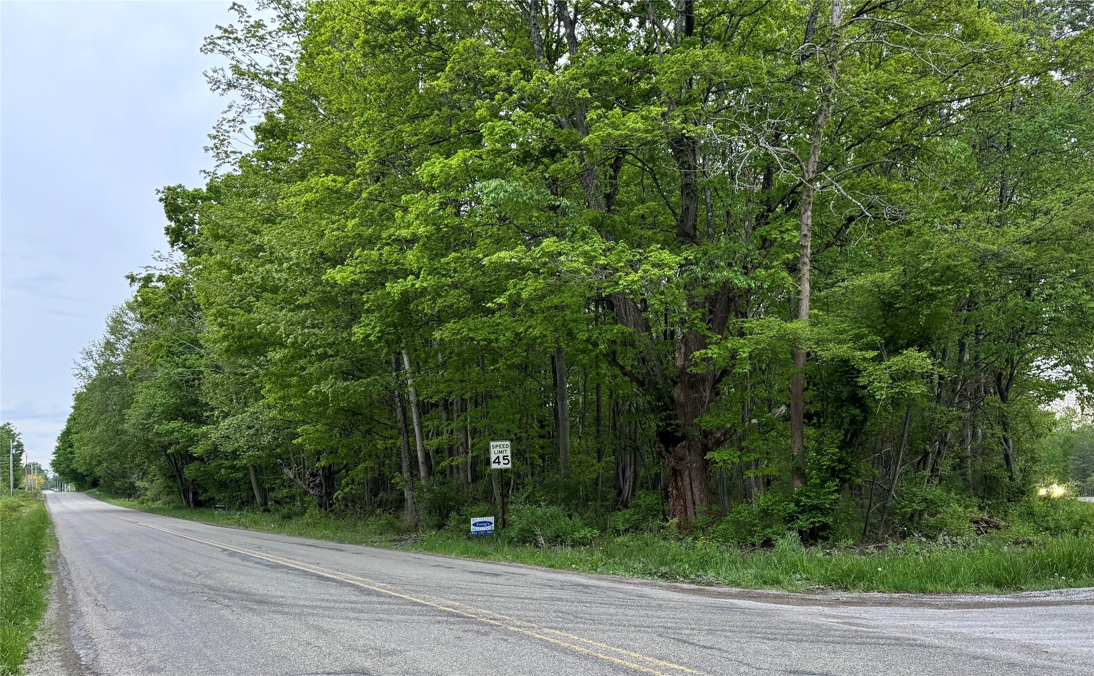 Lot B LAKE ROAD & ELMWOOD Avenue