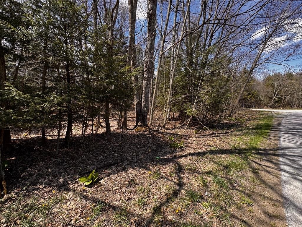 Lot 4 LAKE & DANNER Road
