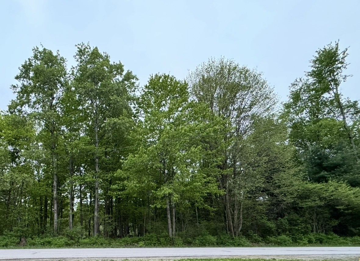 Lot 9-15 & 62-72 ELMWOOD Avenue