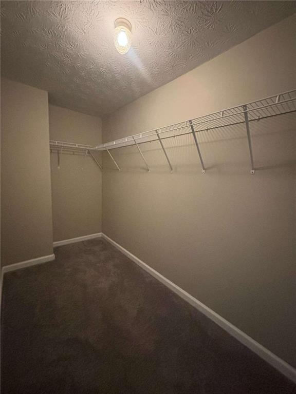 6006 Kingston Wood Way