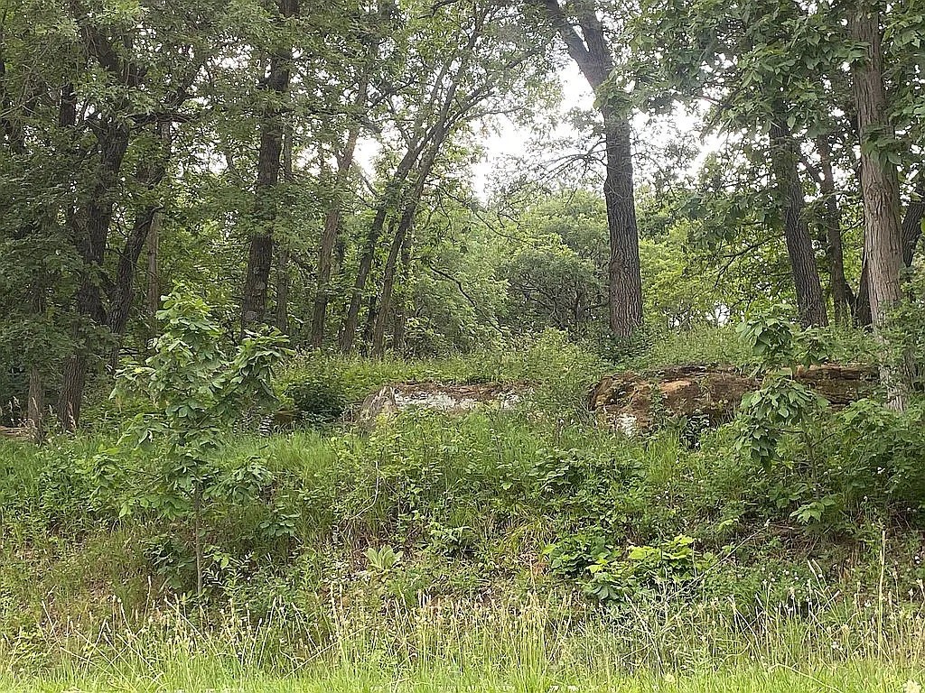 8419 Park Drive